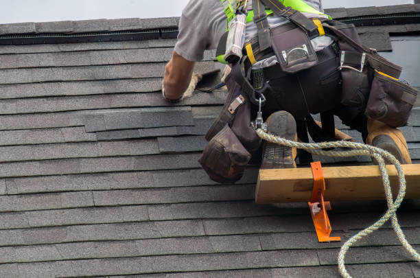 Roof Gutter Cleaning in Sixteen Mile Stand, OH