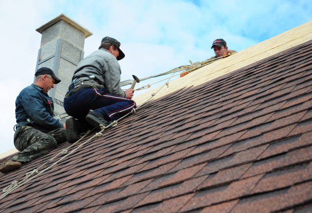 Best Roof Gutter Cleaning  in Sixteen Mile Stand, OH